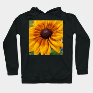 Summer Flower Hoodie